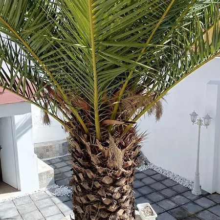 A House With A Garden, Garage, Sauna, And Jacuzzi דירה