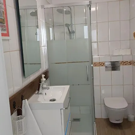 A House With A Garden, Garage, Sauna, And Jacuzzi