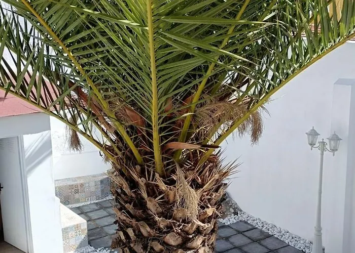 A House With A Garden, Garage, Sauna, And Jacuzzi Appartamento